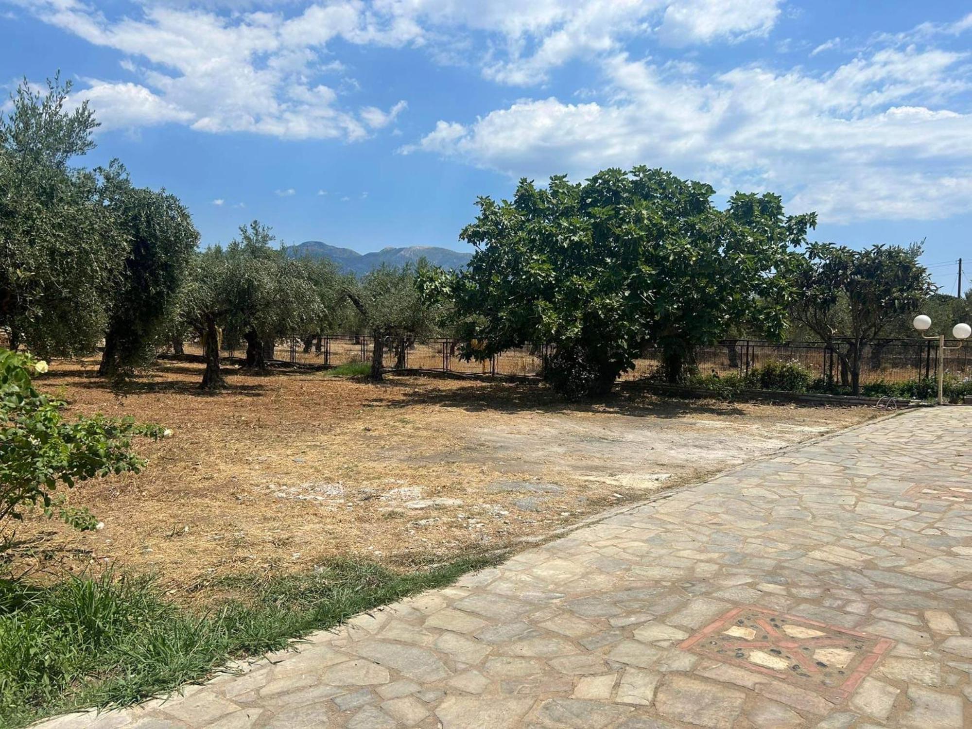 Το Πετρινο / The Petrino Apartments Stoúpa المظهر الخارجي الصورة